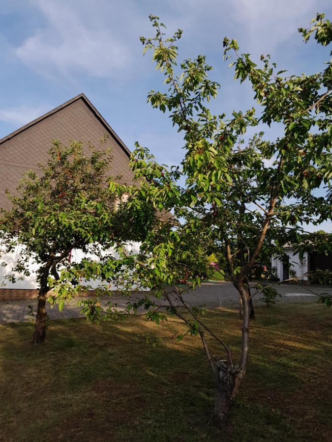 Casa Natur Medebach Exterior foto